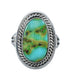 Native American Sterling Silver Sonoran Gold Turquoise Ring Size 6 JX130914